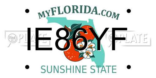 IE86YF Florida License Plate