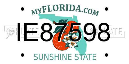 IE87598 Florida License Plate