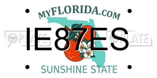 IE87ES Florida License Plate