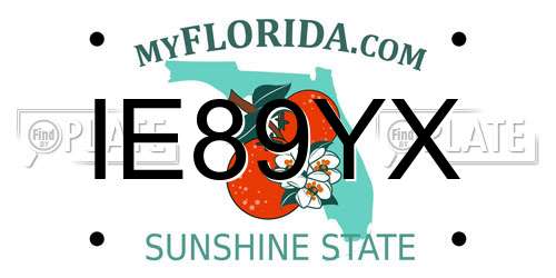 IE89YX Florida License Plate