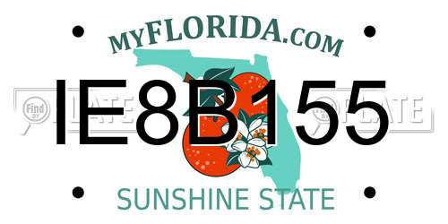 IE8B155 Florida License Plate