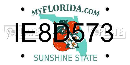 IE8D573 Florida License Plate