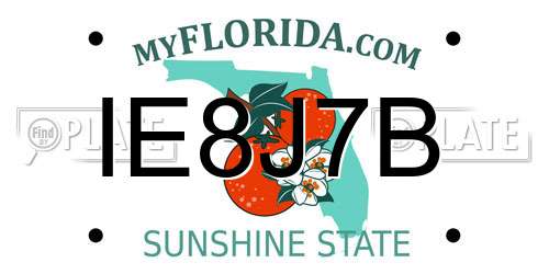 IE8J7B Florida License Plate