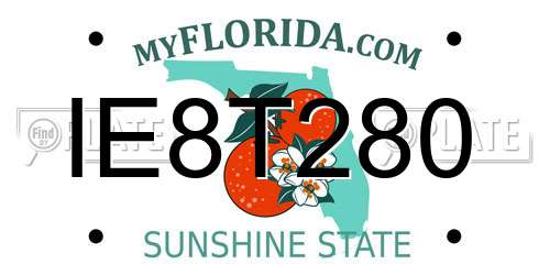IE8T280 Florida License Plate