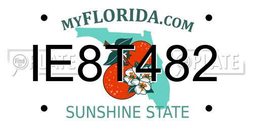 IE8T482 Florida License Plate
