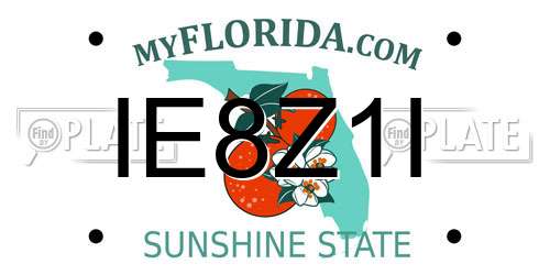 IE8Z1I Florida License Plate
