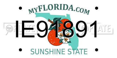 IE91891 Florida License Plate
