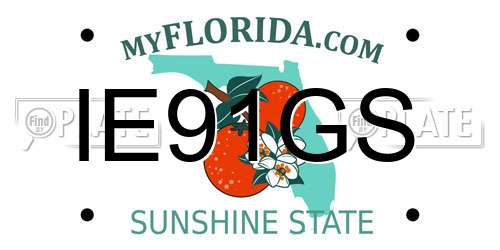 IE91GS Florida License Plate