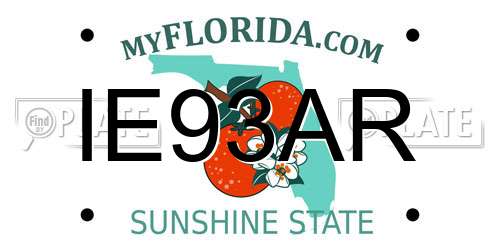 IE93AR Florida License Plate