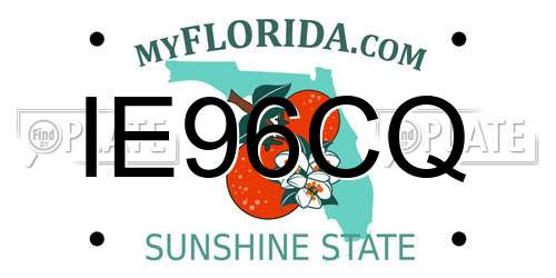 IE96CQ Florida License Plate