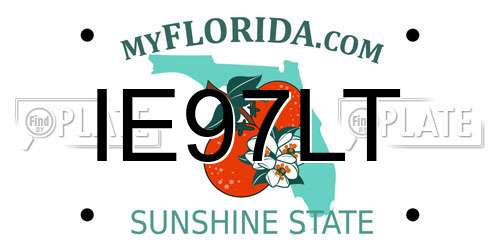 IE97LT Florida License Plate