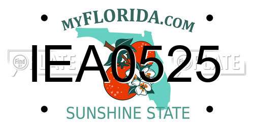 IEA0525 Florida License Plate