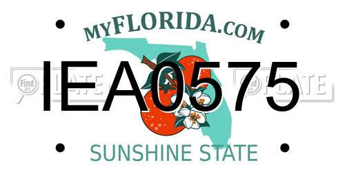 IEA0575 Florida License Plate