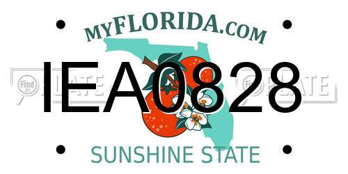 IEA0828 Florida License Plate