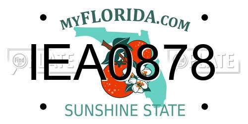IEA0878 Florida License Plate