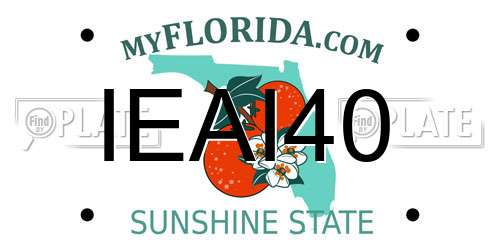 IEAI40 Florida License Plate