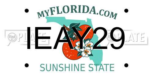 IEAY29 Florida License Plate