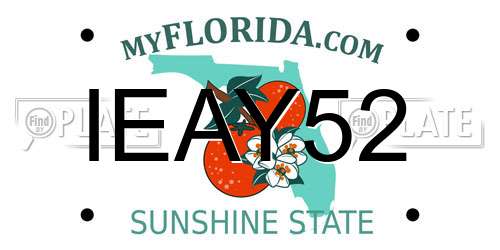 IEAY52 Florida License Plate