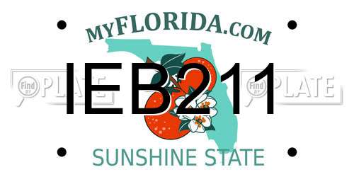 IEB211 Florida License Plate