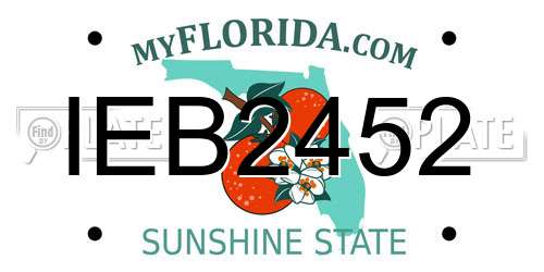 IEB2452 Florida License Plate