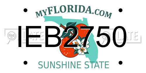 IEB2750 Florida License Plate