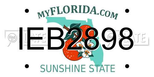 IEB2898 Florida License Plate