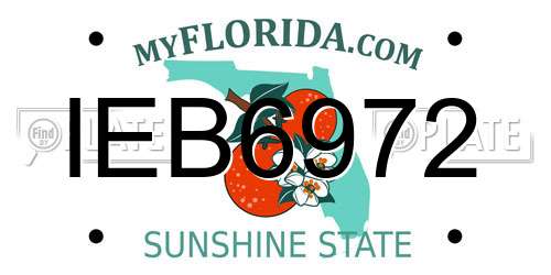 IEB6972 Florida License Plate