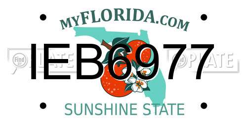 IEB6977 Florida License Plate