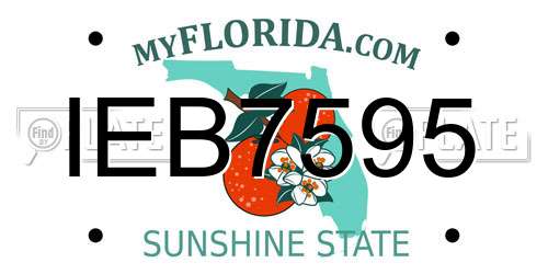 IEB7595 Florida License Plate
