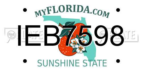 IEB7598 Florida License Plate