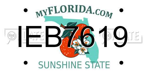IEB7619 Florida License Plate
