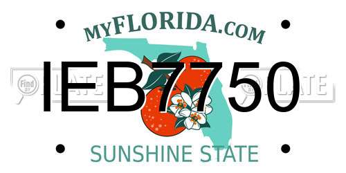 IEB7750 Florida License Plate