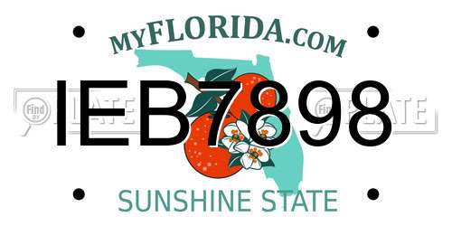 IEB7898 Florida License Plate