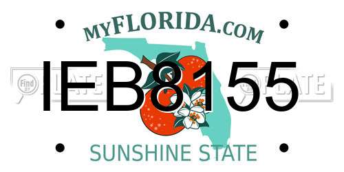 IEB8155 Florida License Plate