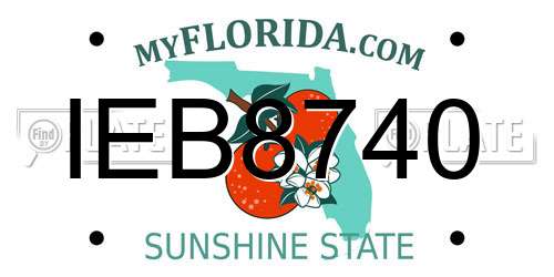 IEB8740 Florida License Plate