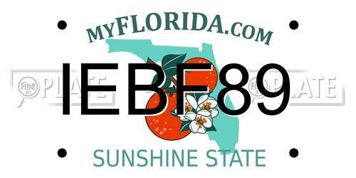 IEBF89 Florida License Plate