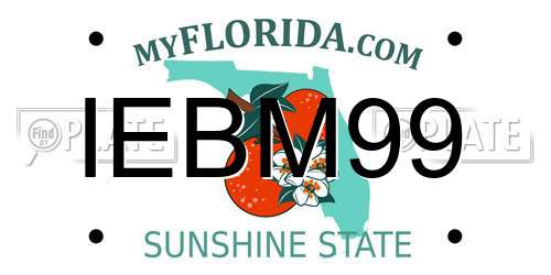 IEBM99 Florida License Plate
