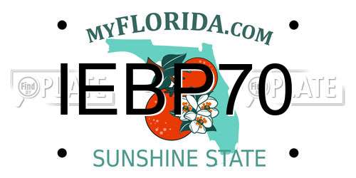 IEBP70 Florida License Plate