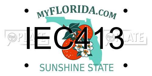 IEC413 Florida License Plate