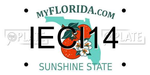IECI14 Florida License Plate