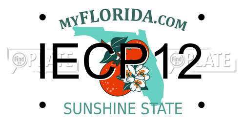 IECP12 Florida License Plate