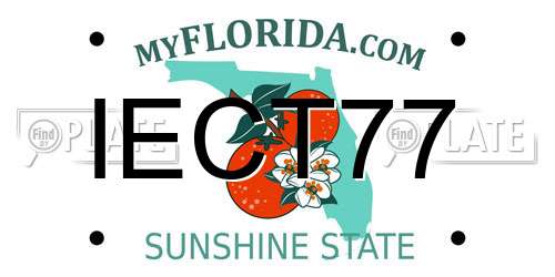 IECT77 Florida License Plate