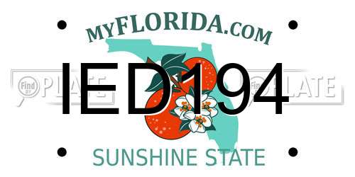 IED194 Florida License Plate