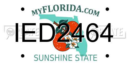 IED2464 Florida License Plate