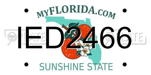 IED2466 Florida License Plate