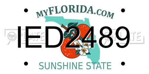 IED2489 Florida License Plate