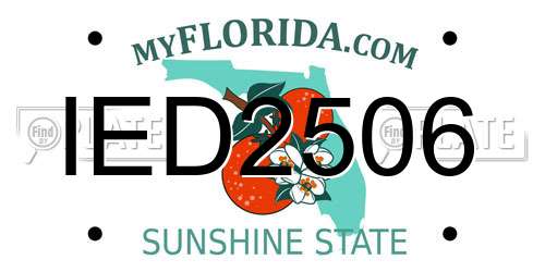 IED2506 Florida License Plate