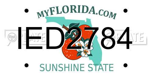 IED2784 Florida License Plate