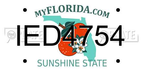 IED4754 Florida License Plate