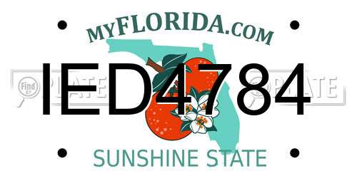 IED4784 Florida License Plate